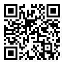 侠盗猎车手Online2手游
