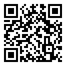 全面战争大冒险游戏手机版