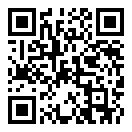 跑online手机汉化版