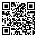 请给我一面五星红旗制作app